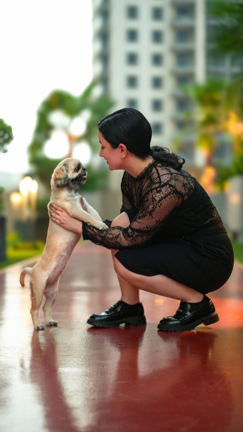 A small dog leaping up to its owner on a wet plaza at dusk.